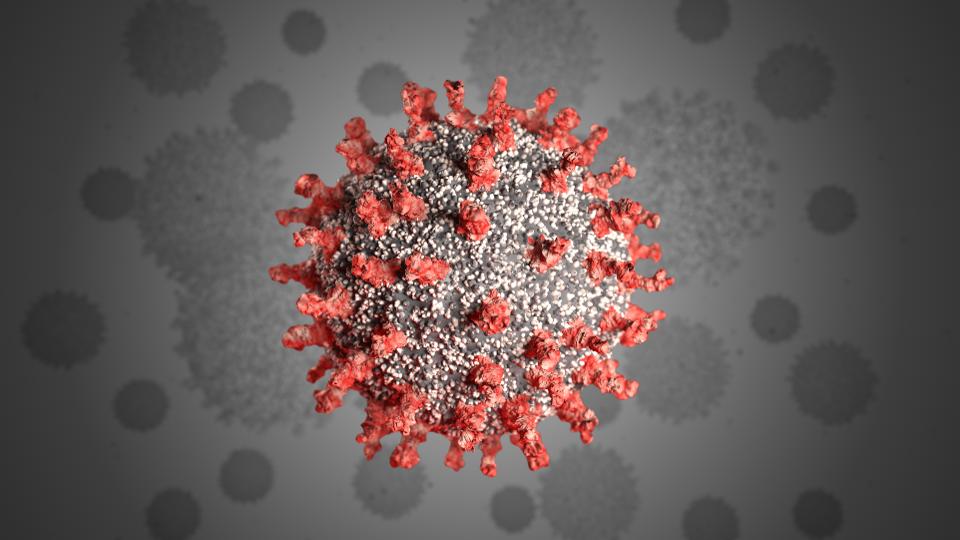 coronavirus