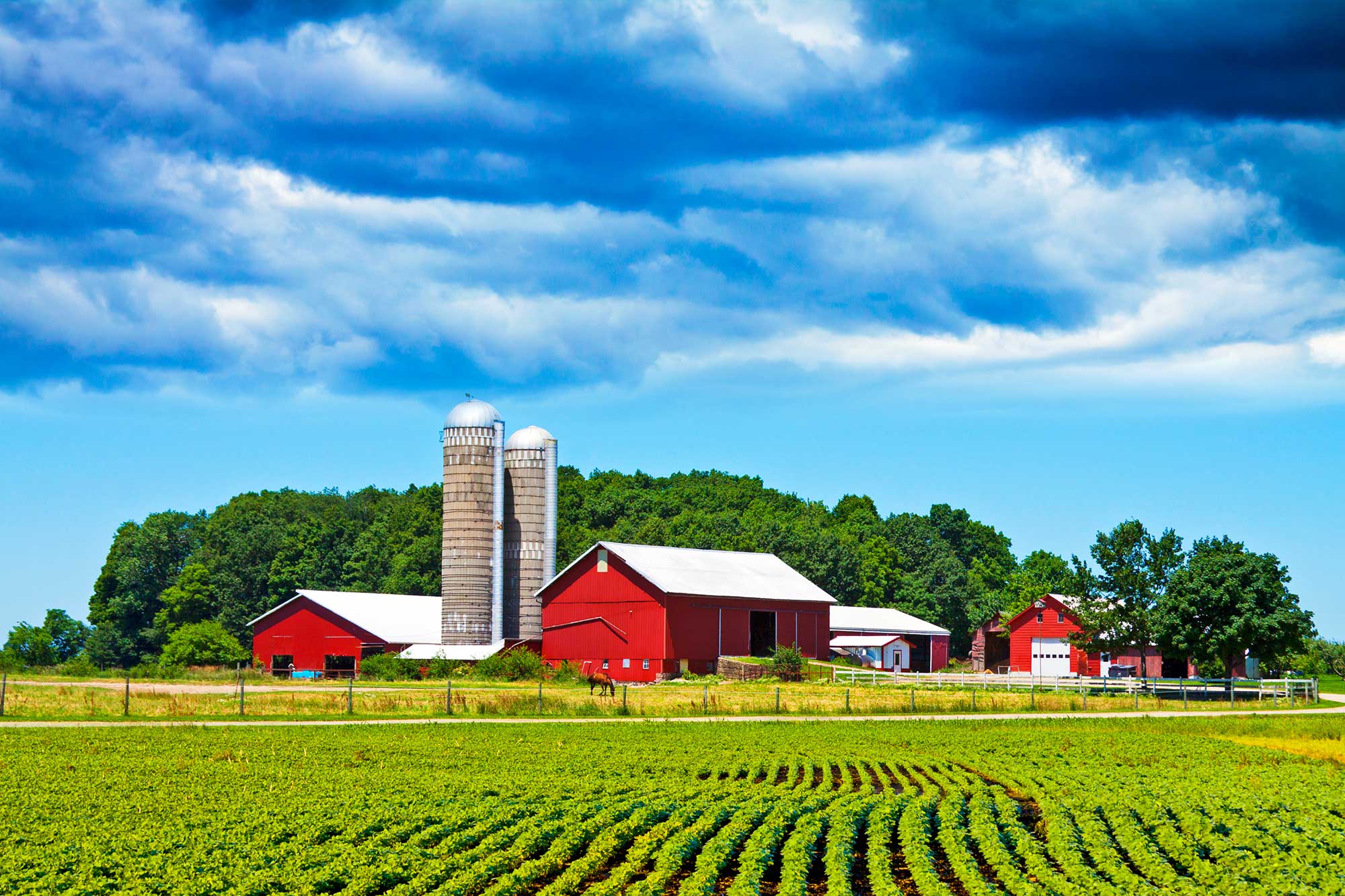 Midwest farm